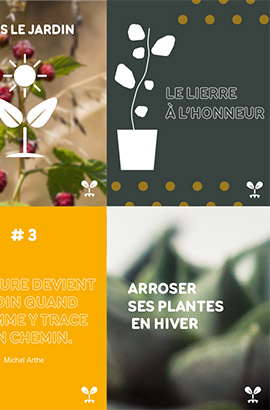 visuel project