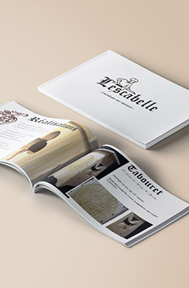visuel project